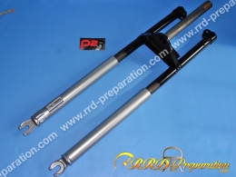 P2R fork original type for...