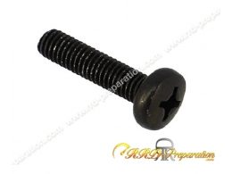 Tornillo para carrocería...