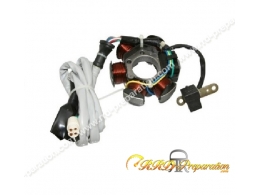 Stator d'allumage P2R pour maxi scooter PIAGGIO, VESPA, APRILIA 125cc