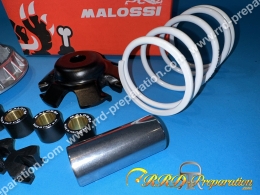 Variateur MALOSSI MULTIVAR 2000 pour maxi scooter SYM JOYMAX, EVO, GTS, CITYCOM, TGB X MOTION ... 250, 300