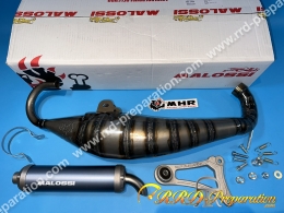 § Exhaust MALOSSI MHR BIG...