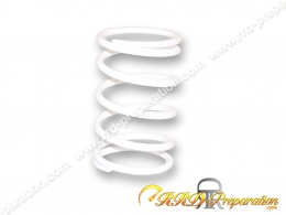 MALOSSI MHR thrust spring...