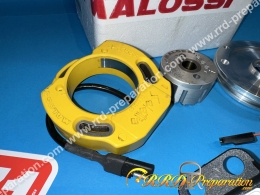 Allumage MALOSSI MHR rotor interne sans éclairage pour PIT BIKE 4T moteur LIFAN