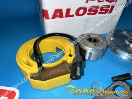 Allumage MALOSSI MHR rotor interne sans éclairage pour PIT BIKE 4T moteur LIFAN