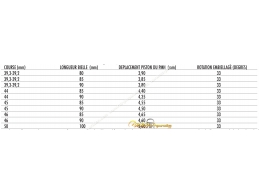 Allumage POLINI PVL (avance variable) rotor interne sans éclairage pour mécaboite moteur minarelli am6, DERBI euro 1, 2 et 3