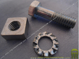 crown screws for PEUGEOT with stick rims
