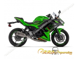 Complete exhaust line ARROW...