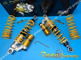 Pair of adjustable gas...