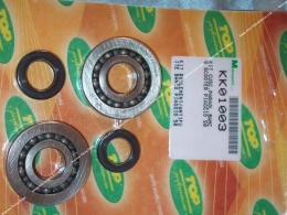 Kit of crankshaft bearings + TOP PERFORMANCES reinforced oil seals for PIAGGIO (Typhoon, NRG...)