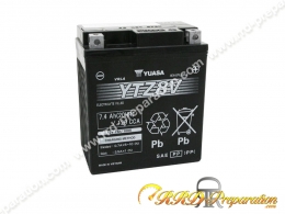 Maintenance-free battery...