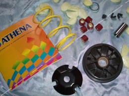 Variator ATHENA Racing (variator, spring, ...) for PIAGGIO (Typhoon, NRG...)