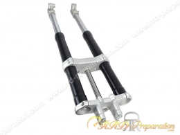 Fork PIAGGIO of origin...