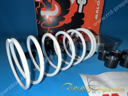 Variateur MULTIVAR 2000 MALOSSI (vario + ressort de poussée, …) pour scooter 4T PIAGGIO, APRILIA, GILERA, ...
