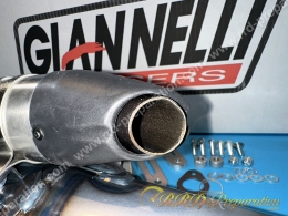 Pot d'échappement GIANNELLI REKORD pour MINARELLI Vertical (booster, bw's)