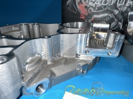 Carters moteur droit et gauche TOP PERFORMANCES TPR 50 - 86cc MINARELLI AM6