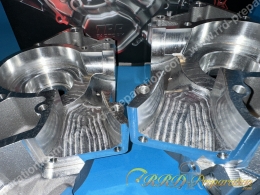 Carters moteur droit et gauche TOP PERFORMANCES TPR 100cc Flanged Mount MINARELLI AM6