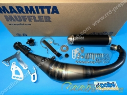 Pot d'échappement POLINI BIG EVOLUTION 100 passage bas minarelli am6 DT, TZR, RS, SHERCO, CPI, FANTIC, RS2...