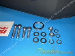 Pot d'échappement MALOSSI WILD LION pour scooter moteur PEUGEOT Vertical Air (elyseo, trekker, vivacity...)
