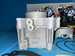 Kit 300 MALOSSI Ø75,5mm cylindre / piston pour PIAGGIO, APRILIA, DERBI, VESPA,...