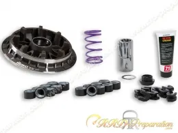 Variateur MALOSSI Multivar...