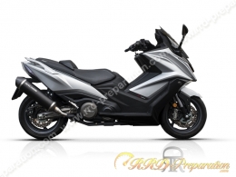 Silencieux d'échappement Malossi Wild Lion (Montage sur collecteur origine) pour Kymco AK 550 après 2017