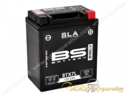 Maintenance-free battery...