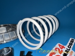 Variateur MALOSSI MULTIVAR 2000 pour MAXI SCOOTER APRILIA ATLANTIC, SCARABEO, GILERA NEXUS, BEVERLY 500...