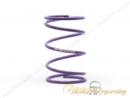 Ressort de poussée MALOSSI MHR couleur au choix pour PEUGEOT ELYSEO, SPEEDFIGHT, PIAGGIO NRG ...