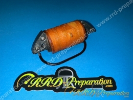 Ignition coil of internal...