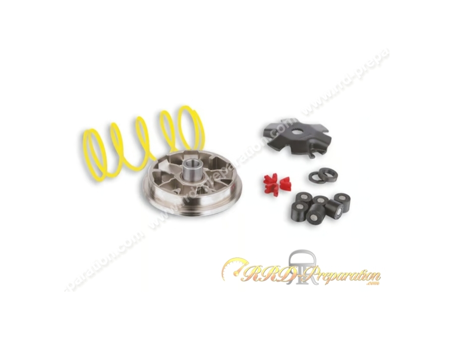 Variateur Malossi Multivar pour DERBI/ITALJET/MALAGUTI/SUZUKI Vamos/CR/Katana Variateur Malossi Multivar pour DERBI/ITALJET/MALAGUTI/SUZUKI Vamos/CR/Katana