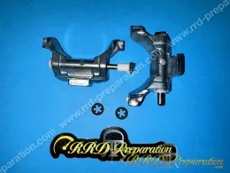 Jeu de 2 masselottes CGN avec axe et clips pour variateur origine sur Peugeot 103 sp, mv, mvl, lm, vogue...