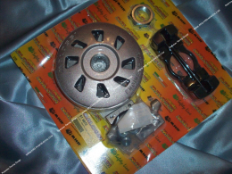 Movable pulley set, tappets, masses, guide for all normal VARIOTOP range 115/106mm
