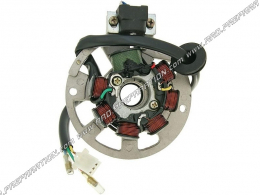 Stator + cables for original ignition for KEEWAY, CPI, ...
