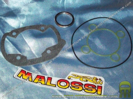 Paquete de juntas para kit MALOSSI MHR 47.6cc para Peugeot Ludix blaster & Jet force 50cc