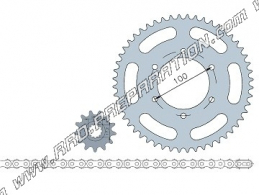 Juego de cadenas SARKANY 420 / 13X48 RIEJU RR 1997