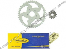 Kit chains SARKANY 420/13X44 RIEJU RS1