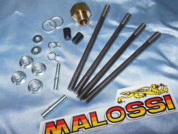 various spare accessories kit for 50 to 80cc of liquid scooter Peugeot