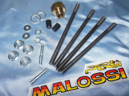 various spare accessories kit for 50 to 80cc on scooter PIAGGIO Liquid