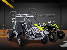 Buggy y quad