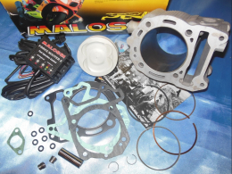 Kits cilindro / pistón / culata / motor alto para maxi-scooter de 4 tiempos YAMAHA , MBK, MINARELLI...