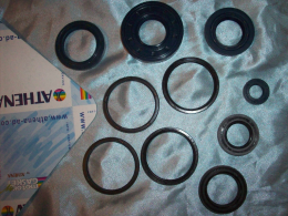 Pack, pouch oil seals, engine and spinnaker BUGGY QUAD