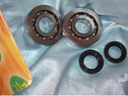 Bearings and joints spy of crankshaft and QUAD BUGGY