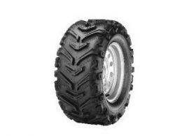 Tire, rims, wheel bearings, products... For BUGGY and QUAD