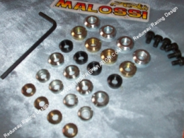 Poids, masselottes de réglage variation pour moteur de compétition 50cc G1, G2, G3, ...