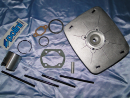 Pièces de rechange pour kit (pistons, culasses, joints, segments…) sur MINARELLI P4 & P6