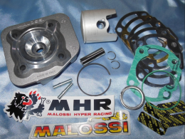 Spare parts kit 50cc for MINARELLI Horizontal Air (Ovetto, Neo's, Mach g ...)