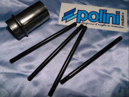 Varios accesorios de repuesto para kit motor alto en MINARELLI P4 & P6