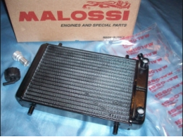 cooling radiators, fixing, radiator caps ... for motor bike 80cc to 125cc 2 times