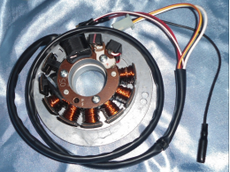 Stator de rechange d'allumage pour KEEWAY, CPI, ...