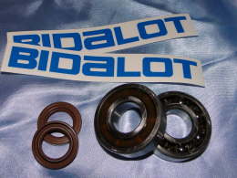 Pack, kit bearings with joints spy (spi) for Horizontal MINARELLI (Nitro, Aerox, Ovetto, Neo's ...)